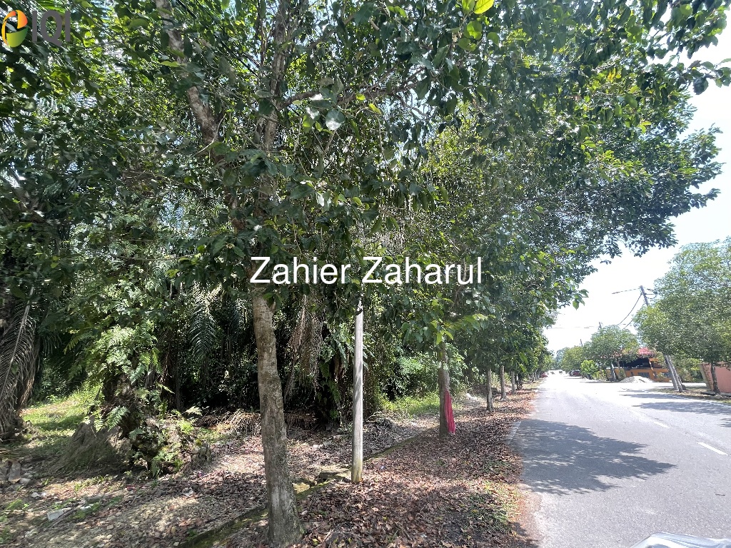 Agriculture Land Muar image