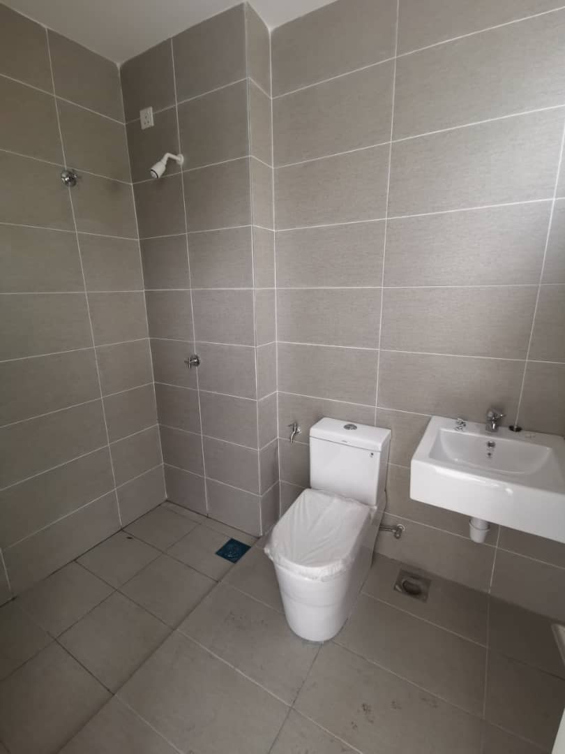  Ara Sendayan ( ADIRA 2 ) image