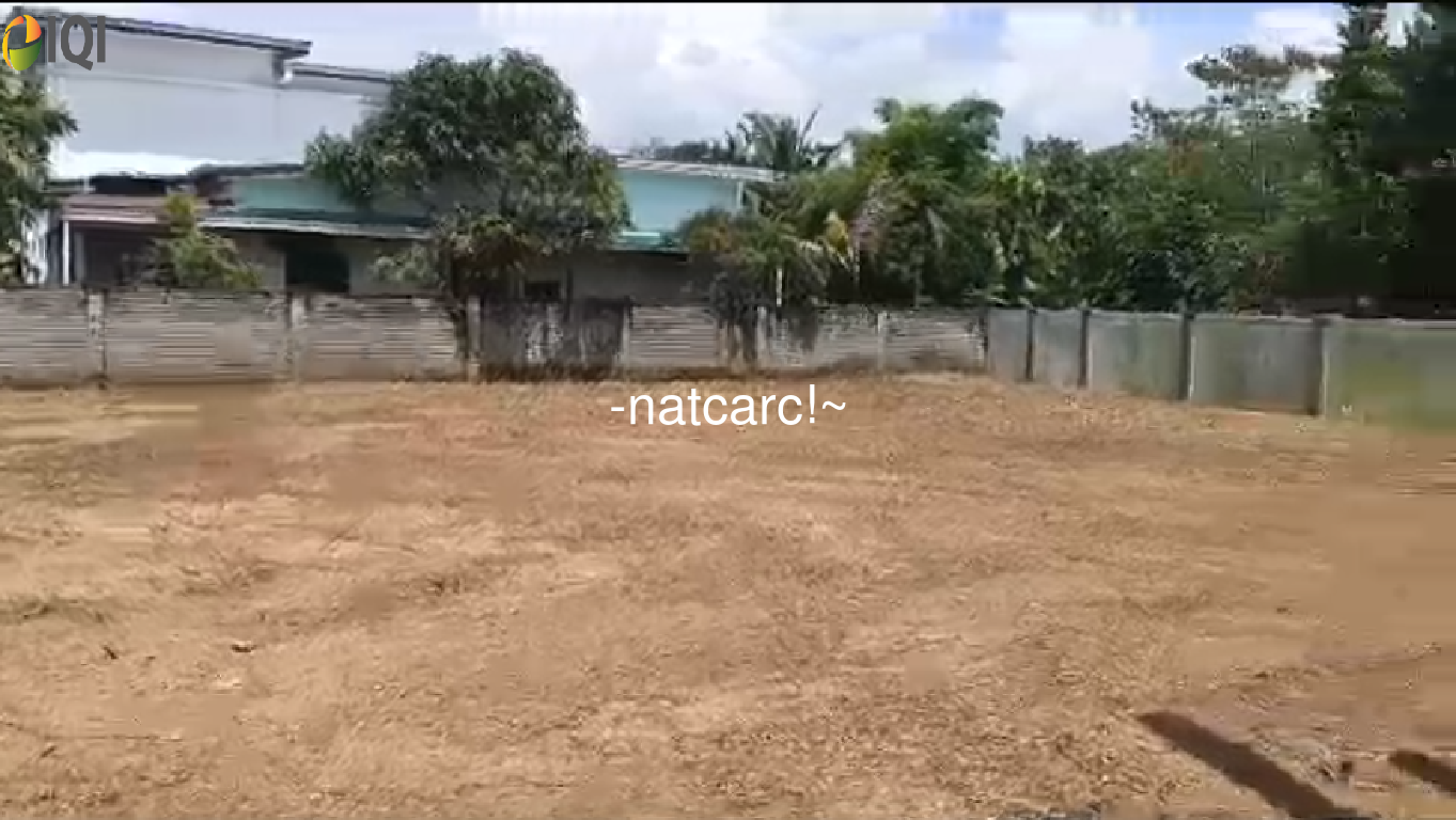 HUGE LAND FREEHOLD Double Storey Bungalow @ Tmn Paya Rumput Perdana for Sale image