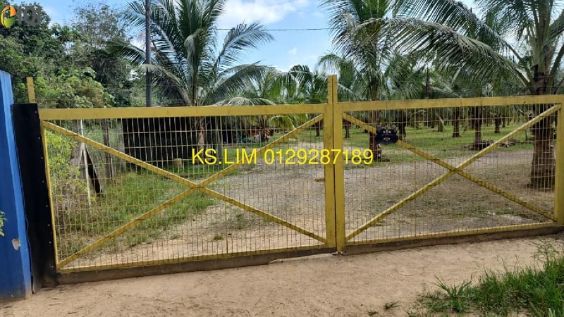 KOLEK COCONUT PLANTATION WITH A FEW DURIAN AND LEMON TREES