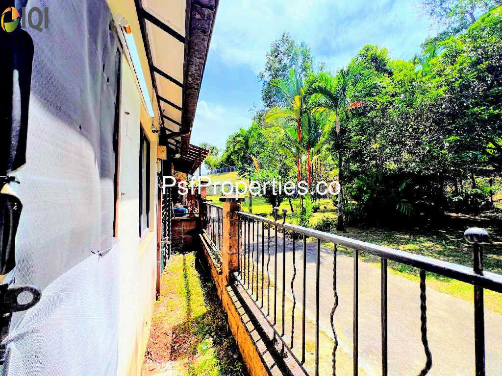 Bukit Jelutong image