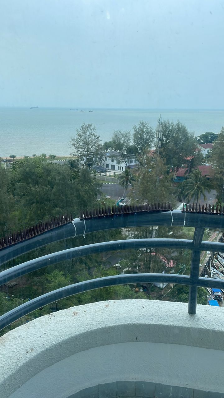 Ocean Palms Condominium image