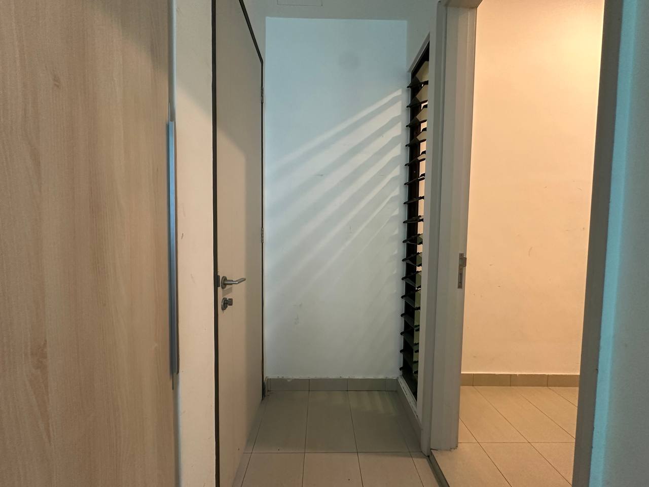 The Light Collection III 3 image