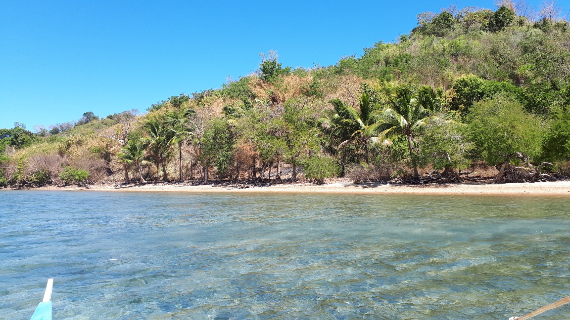 Beach Lot in Coron Palawan image