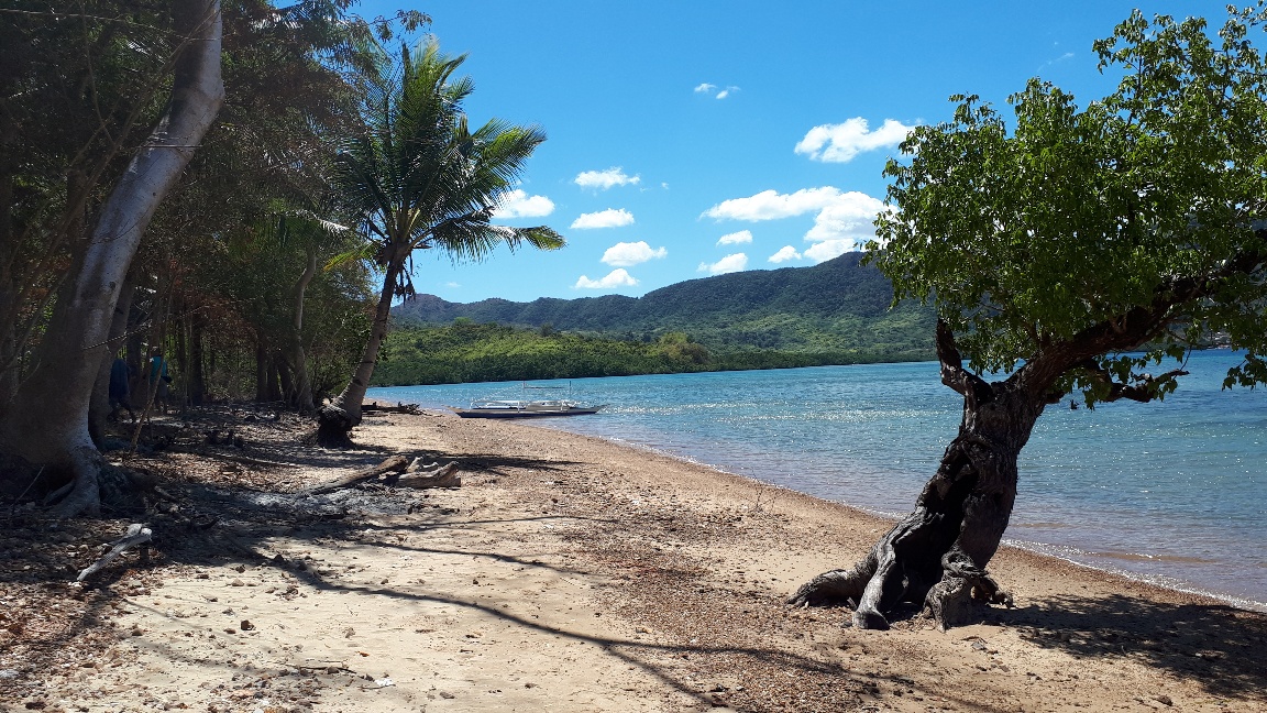 Beach Lot in Coron Palawan image