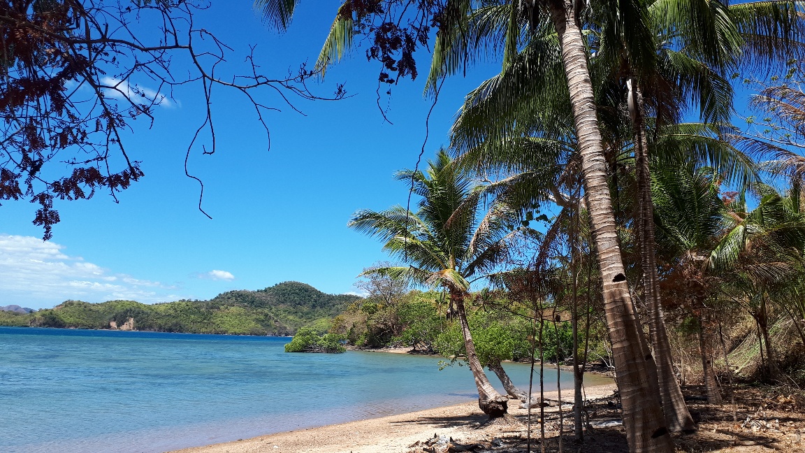 Beach Lot in Coron Palawan image