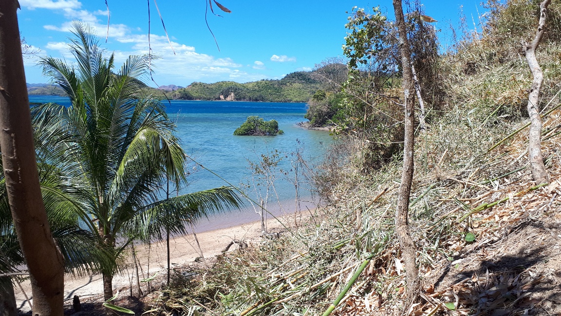 Beach Lot in Coron Palawan image