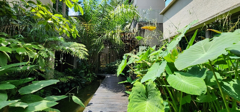 Kenny Hills (Bukit Tunku) image