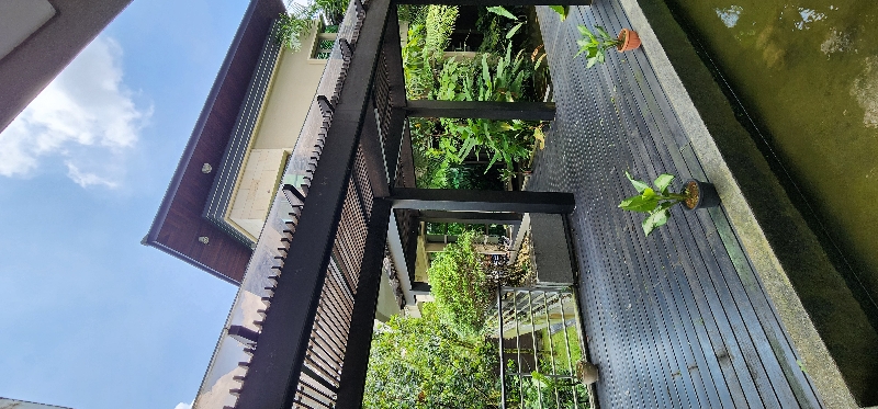 Kenny Hills (Bukit Tunku) image