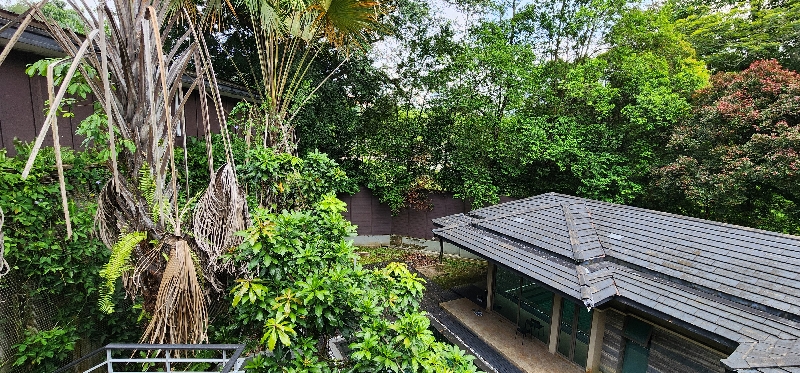 Kenny Hills (Bukit Tunku) image