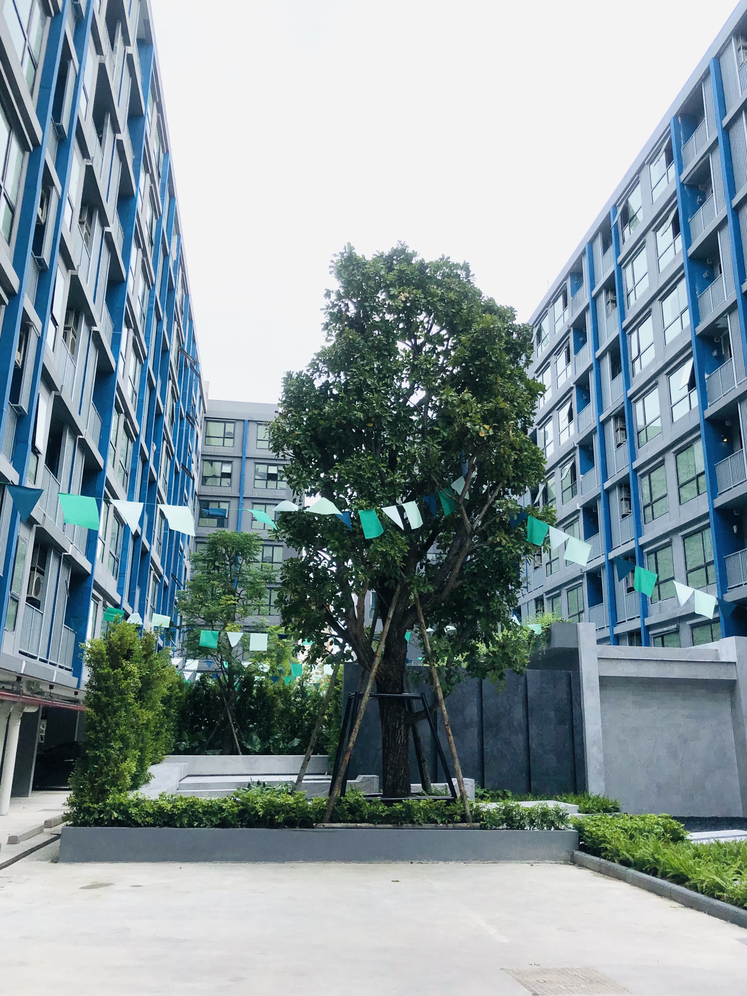 Condo Origin Onnut image