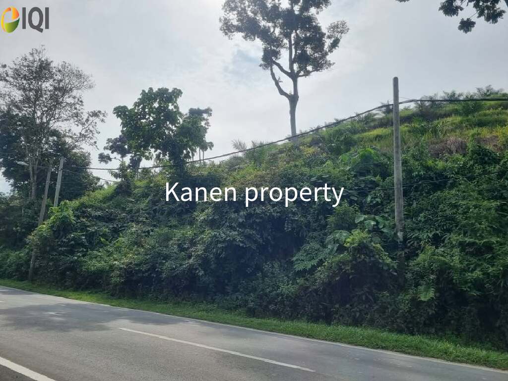 28 Acres agriculture land in redang panjang selama perak for sale image