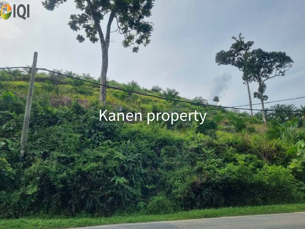 28 Acres agriculture land in redang panjang selama perak for sale image