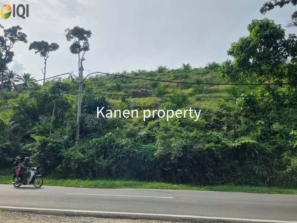 28 Acres agriculture land in redang panjang selama perak for sale image