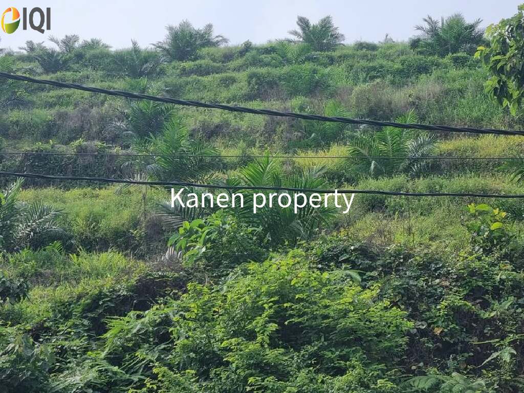 28 Acres agriculture land in redang panjang selama perak for sale image