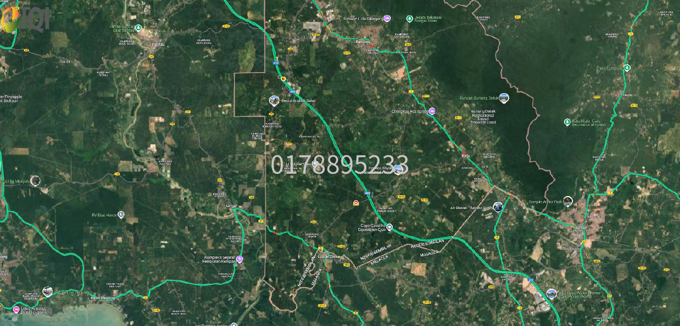 (Oil Palm plantation) Rembau District, Negeri Sembilan  image