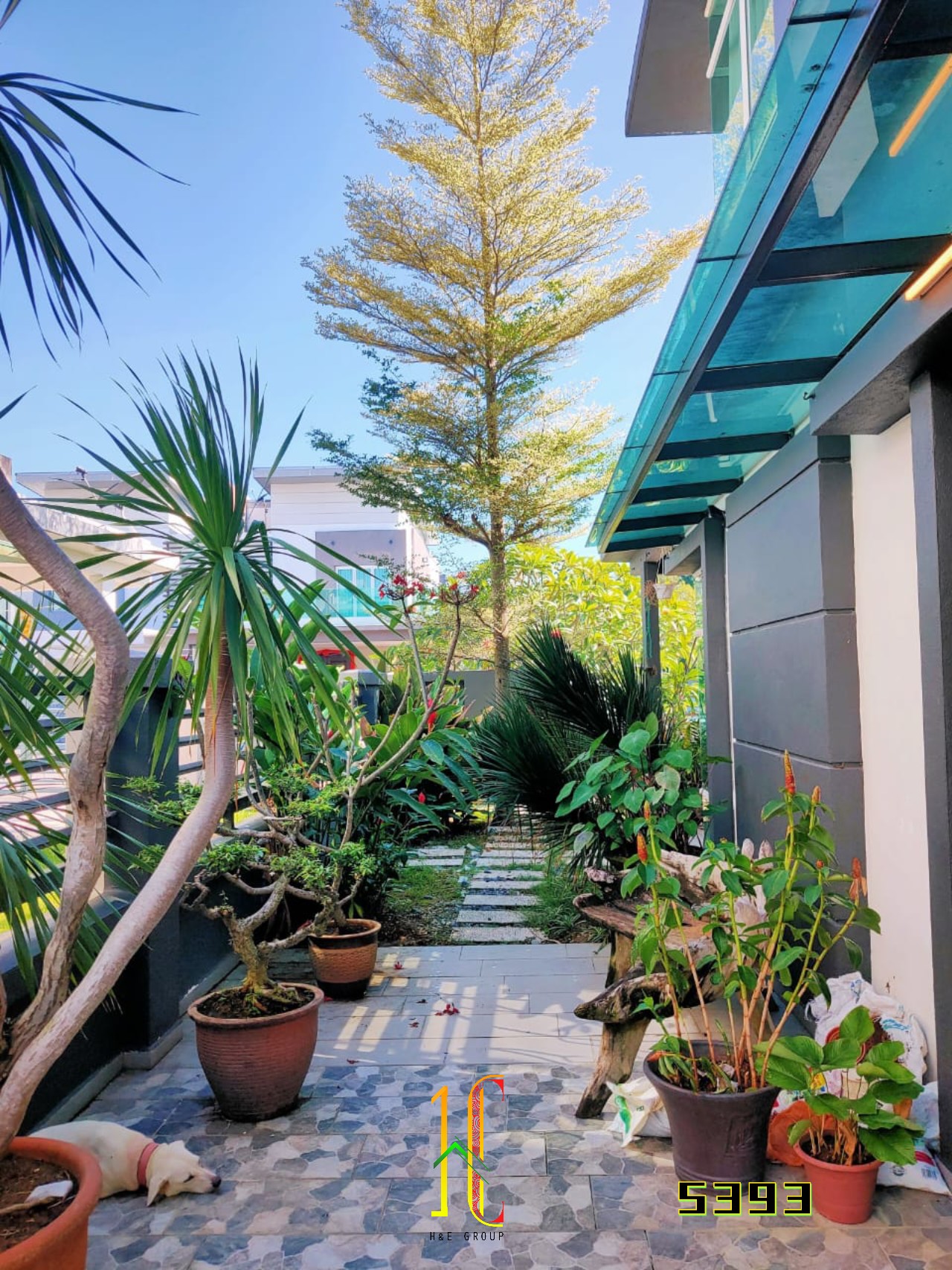 Canary Garden @Bandar Bestari image