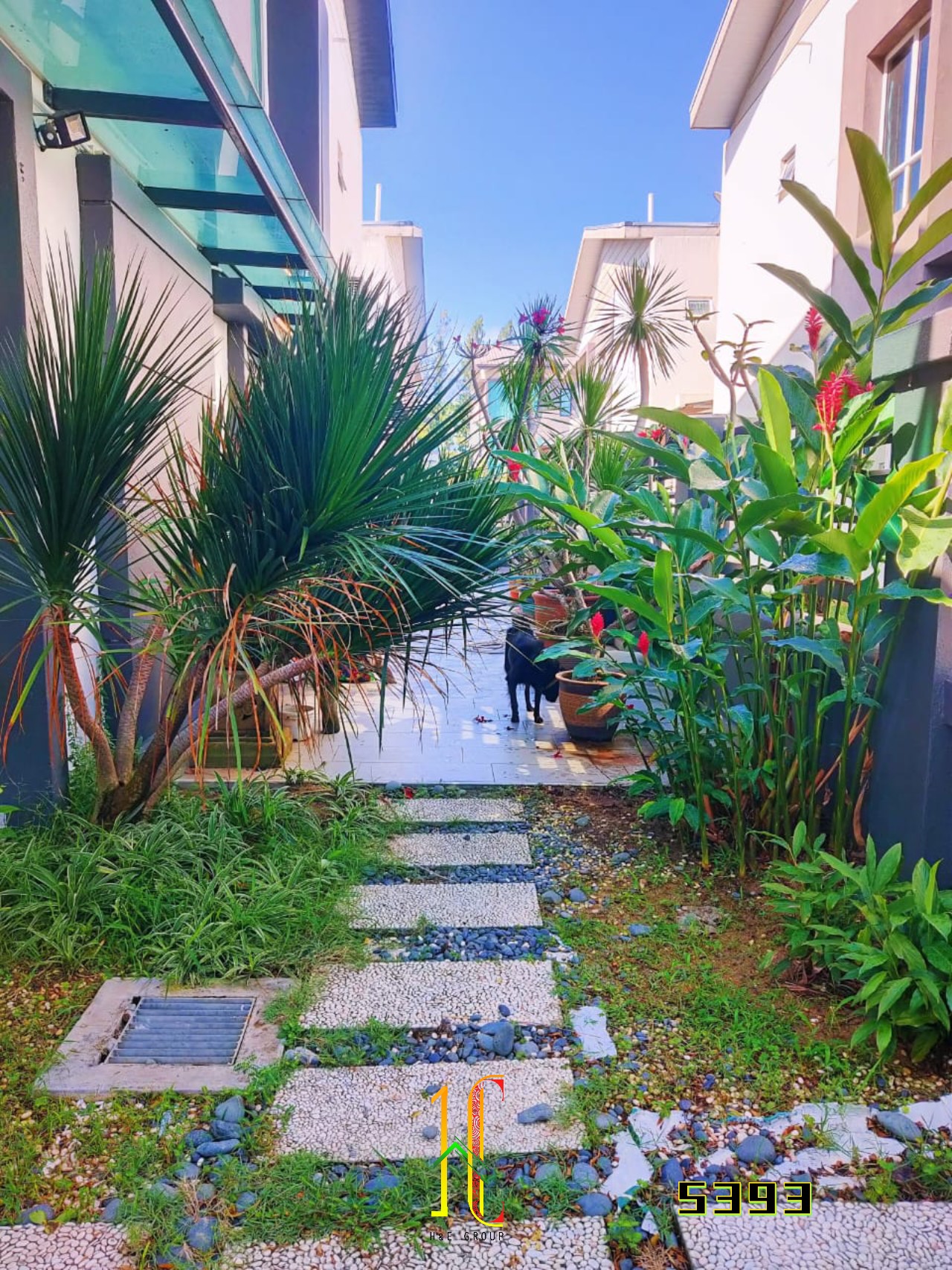 Canary Garden @Bandar Bestari image