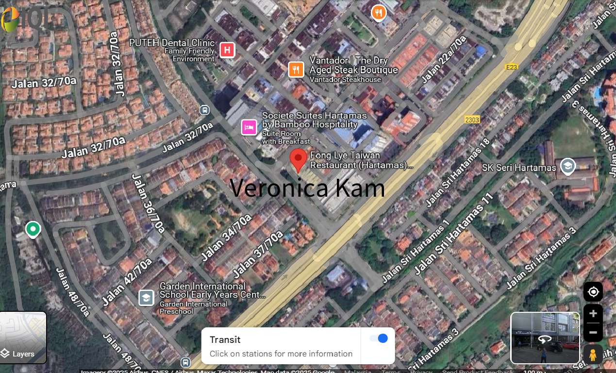 Desa Sri Hartamas image