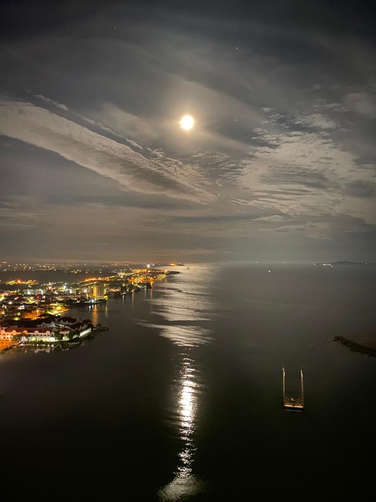 Silverscape Condominium image