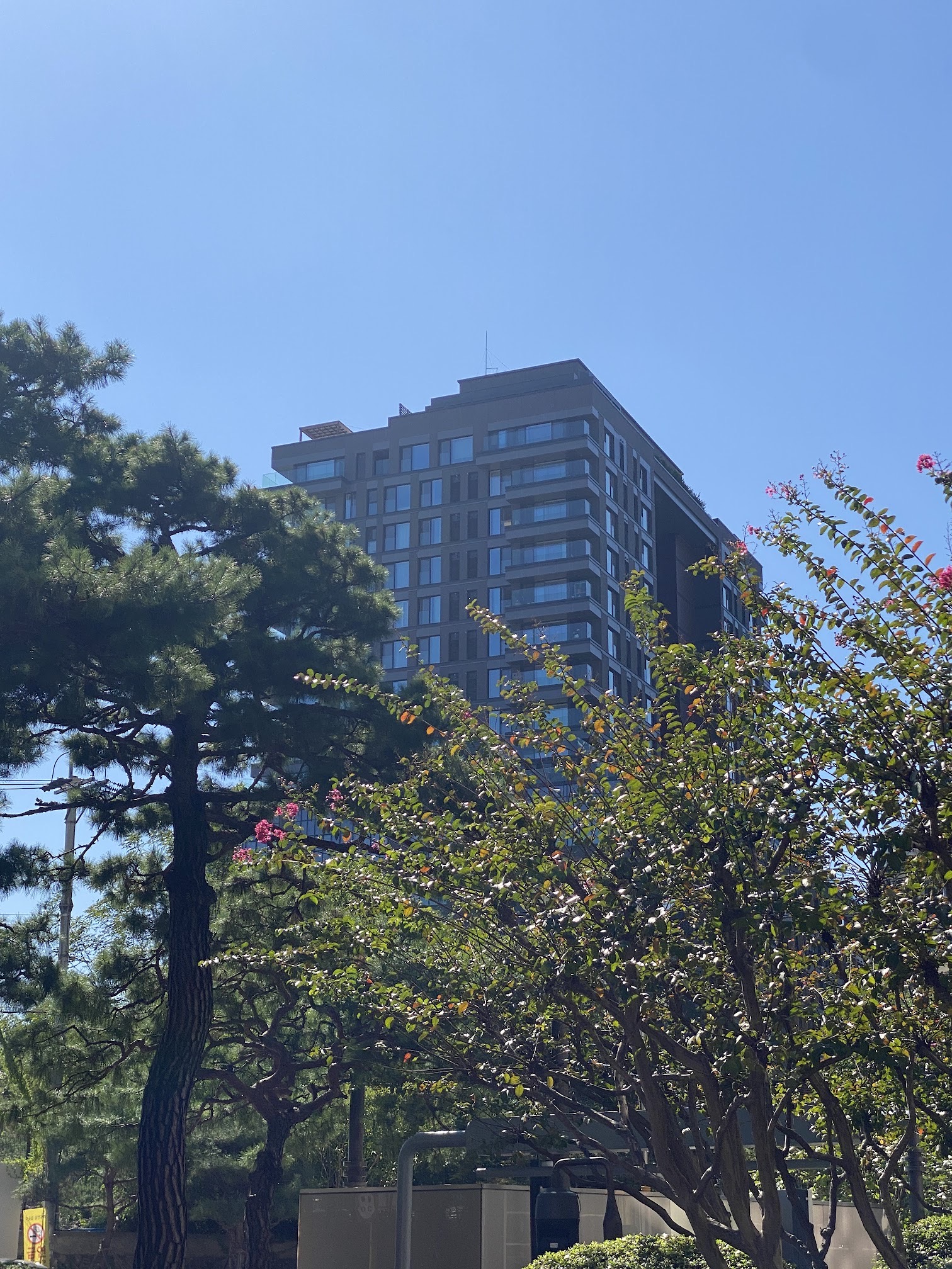 Deoksugung The Palace image