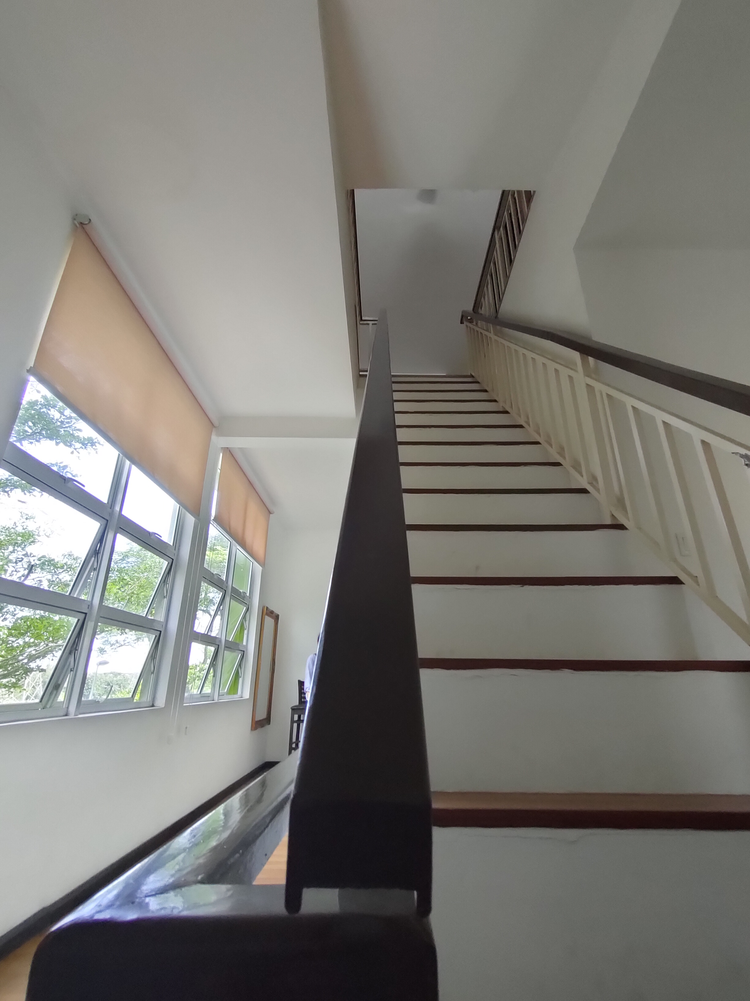 Mutiara Tropicana image