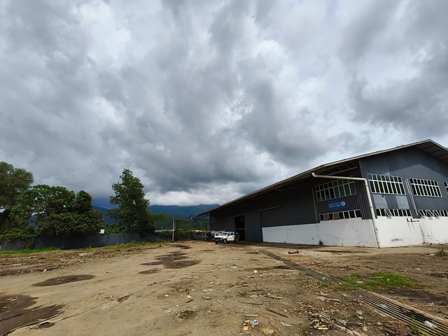 Menggatal image