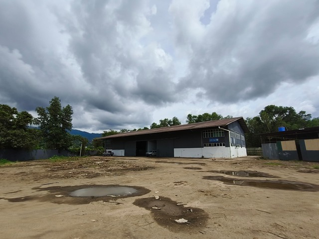 Menggatal image