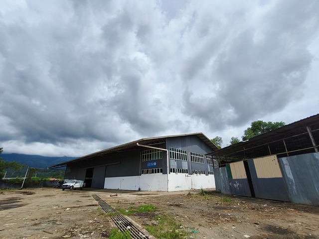 Menggatal image