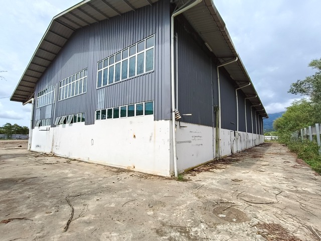 Menggatal image