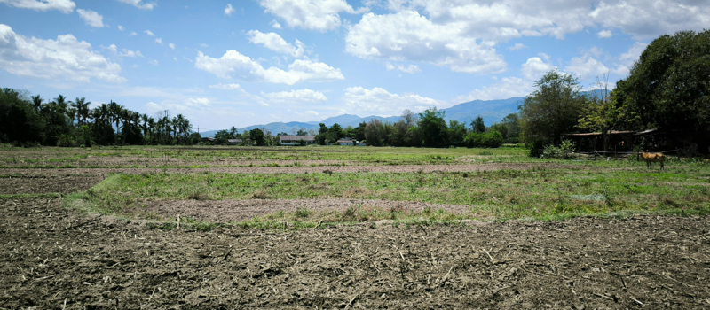 Chiang Dao Land image