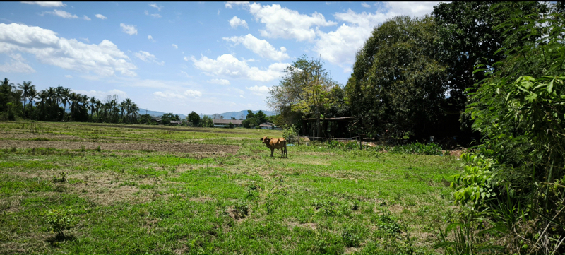 Chiang Dao Land image