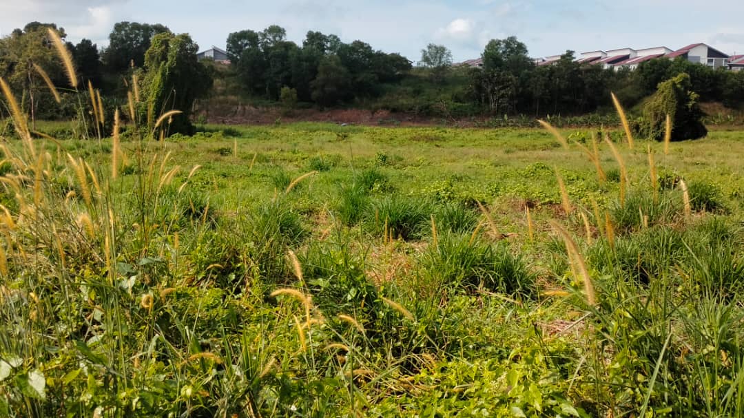 Freehold Big Land 2.67 Acre Tanjong Minyak Perdana Bertam Bukit Rambai image