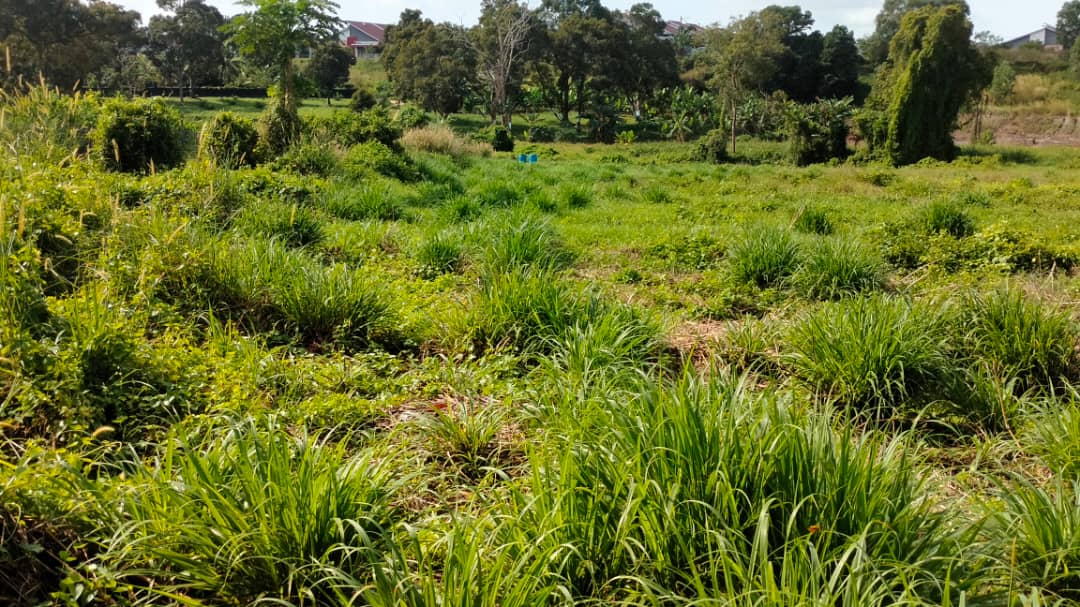 Freehold Big Land 2.67 Acre Tanjong Minyak Perdana Bertam Bukit Rambai image