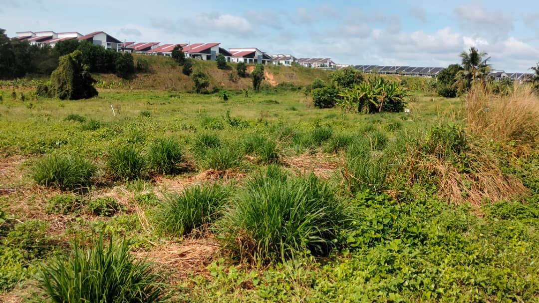 Freehold Big Land 2.67 Acre Tanjong Minyak Perdana Bertam Bukit Rambai image