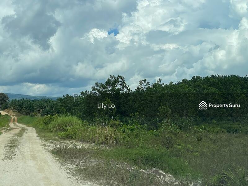 Kota Tinggi Jalan Mersing Agriculture Land image