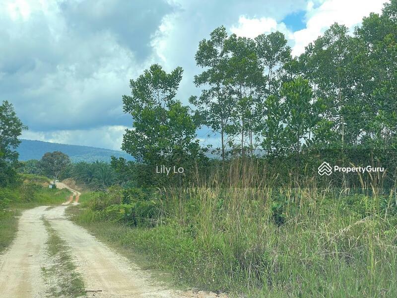 Kota Tinggi Jalan Mersing Agriculture Land