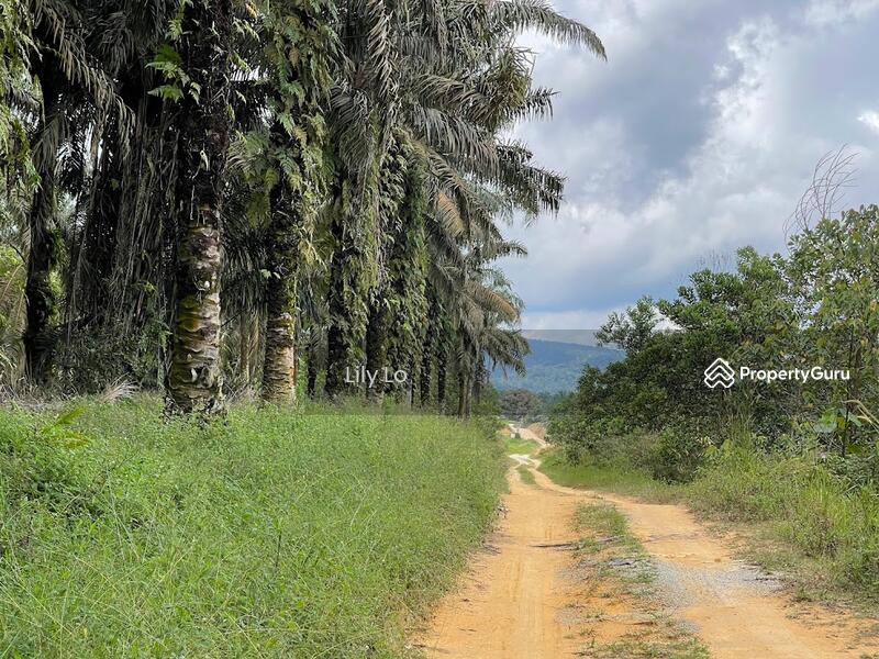 Kota Tinggi Jalan Mersing Agriculture Land image