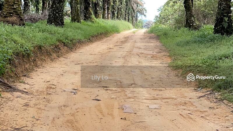 Kota Tinggi Jalan Mersing Agriculture Land