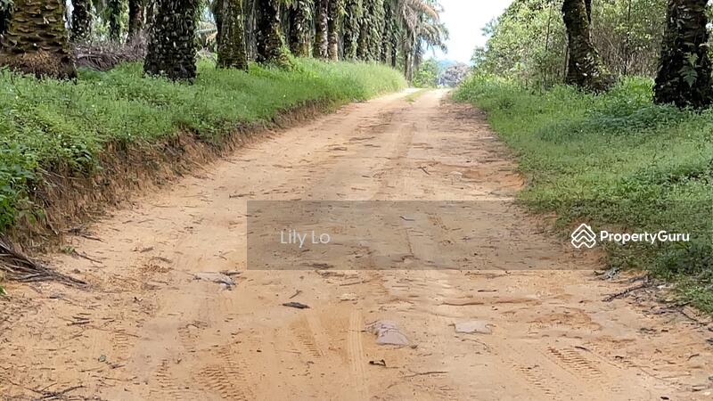 Kota Tinggi Jalan Mersing Agriculture Land image