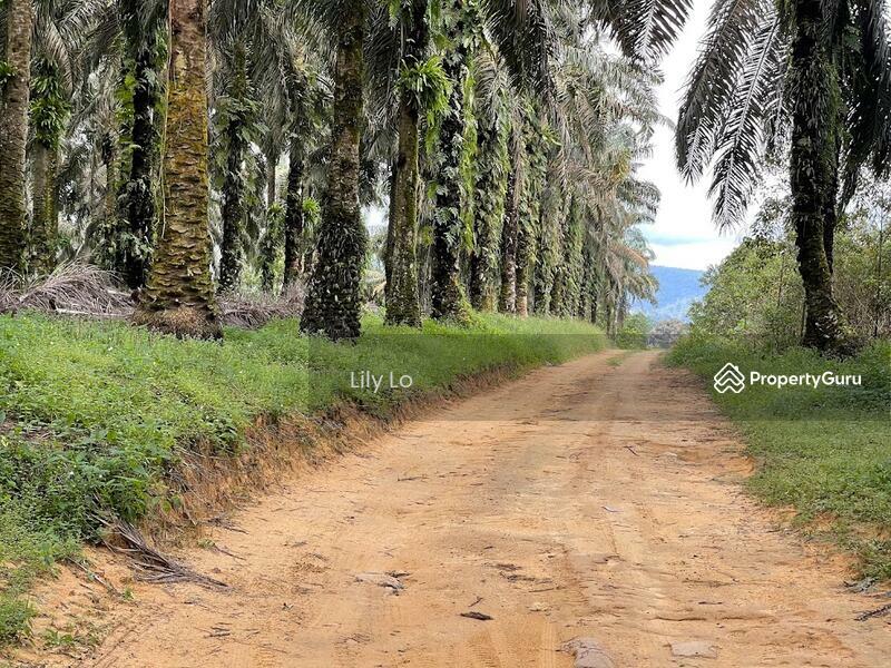 Kota Tinggi Jalan Mersing Agriculture Land