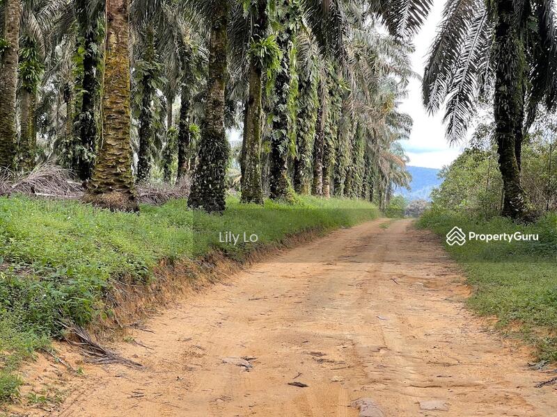 Kota Tinggi Jalan Mersing Agriculture Land image