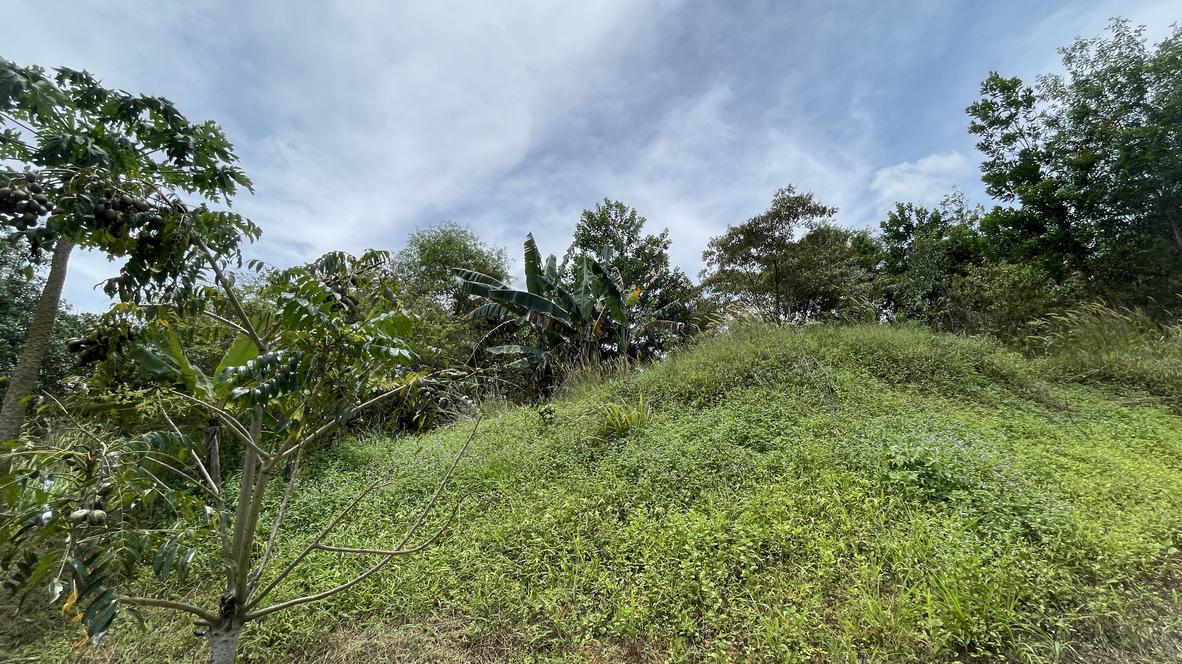 Kulai Saling Jaya Light Indutry image