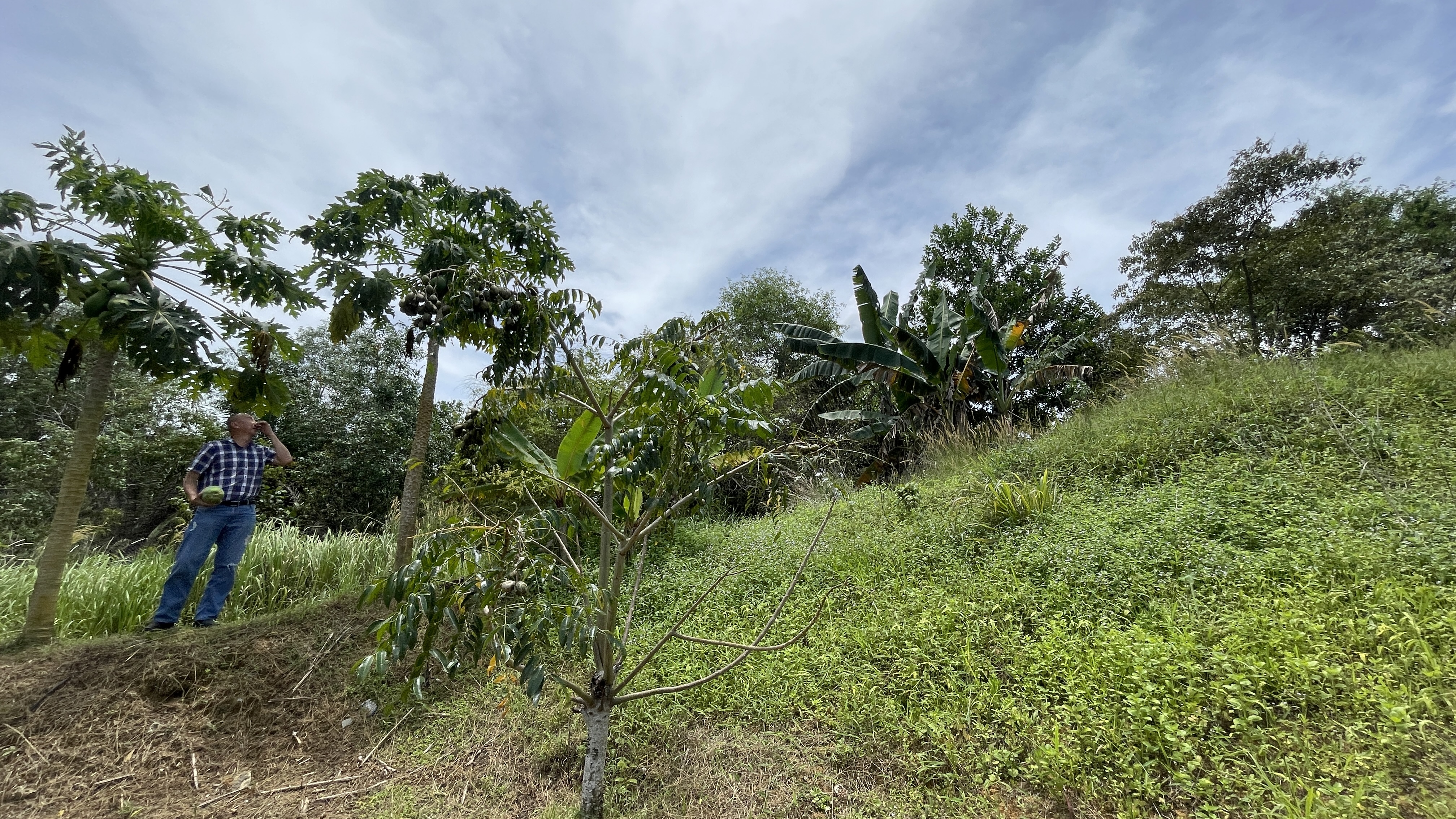 Kulai Saling Jaya Light Indutry image