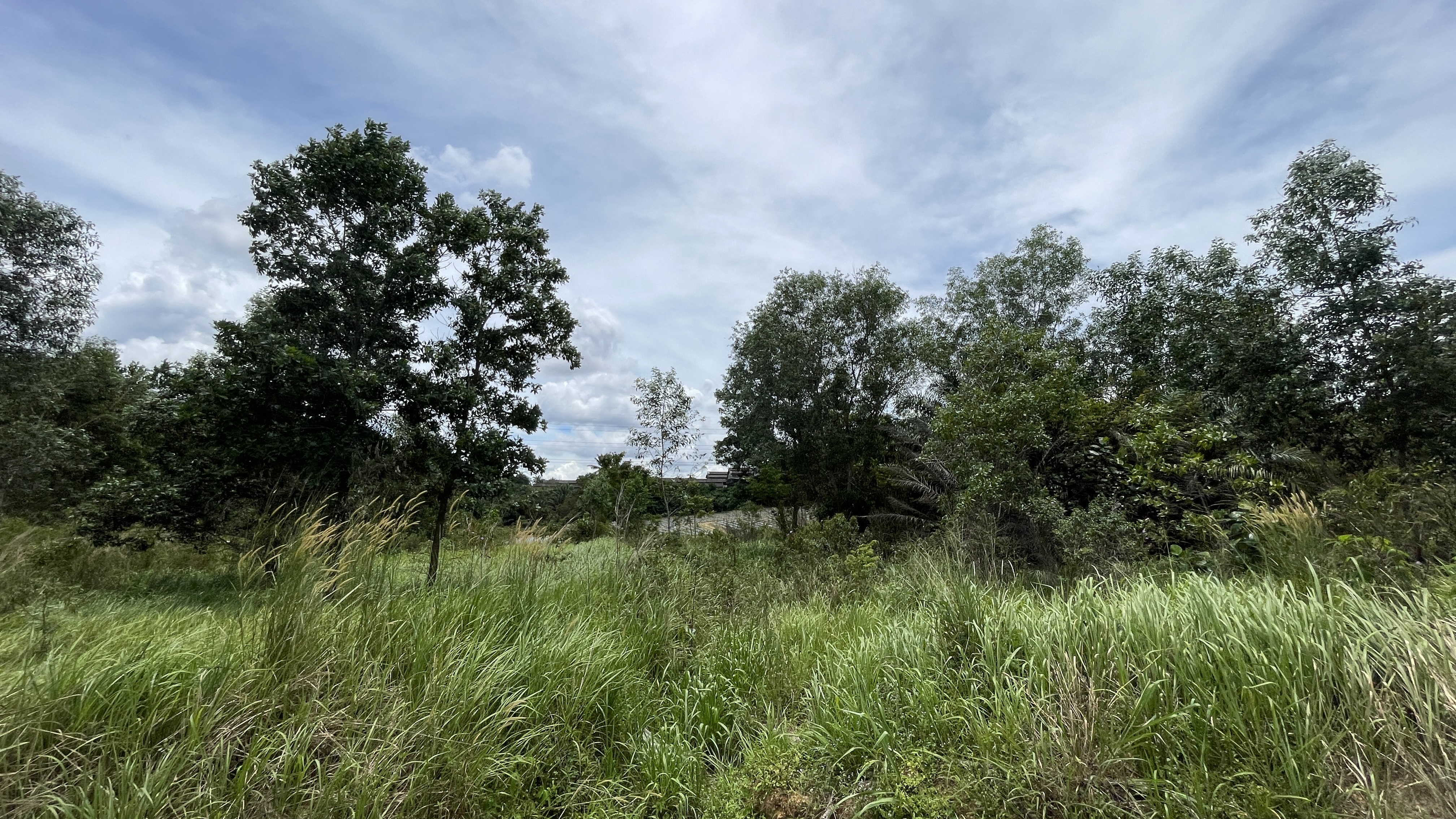 Kulai Saling Jaya Light Indutry image