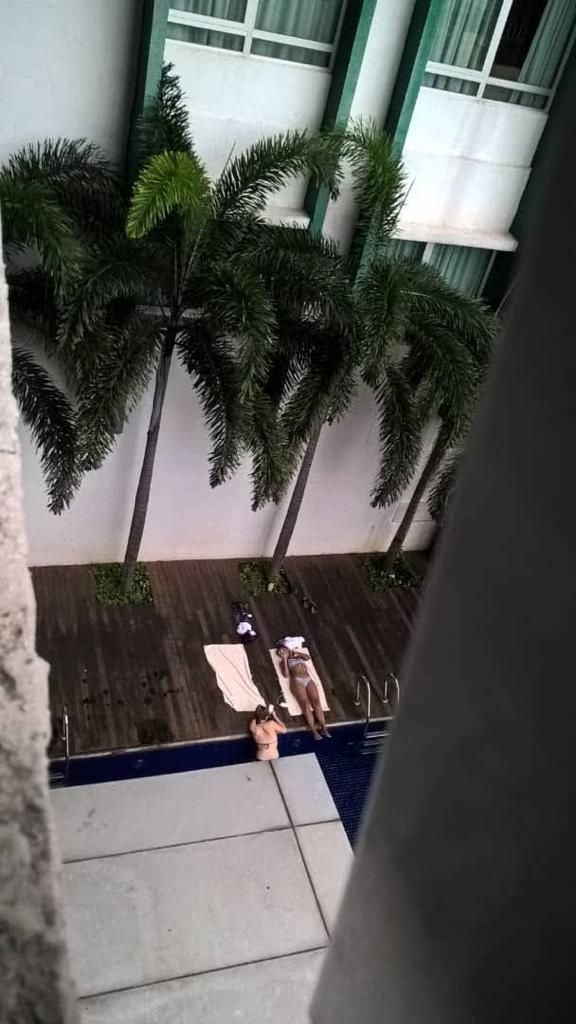 Taragon Puteri Bintang image