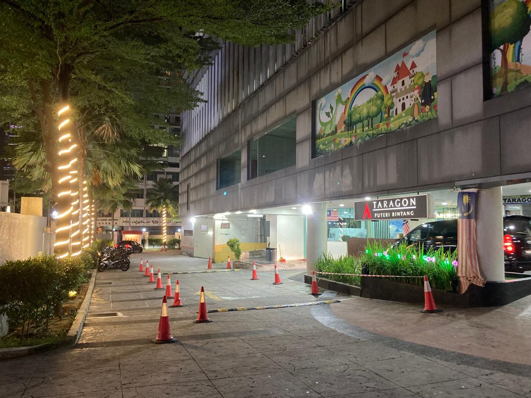 Taragon Puteri Bintang image