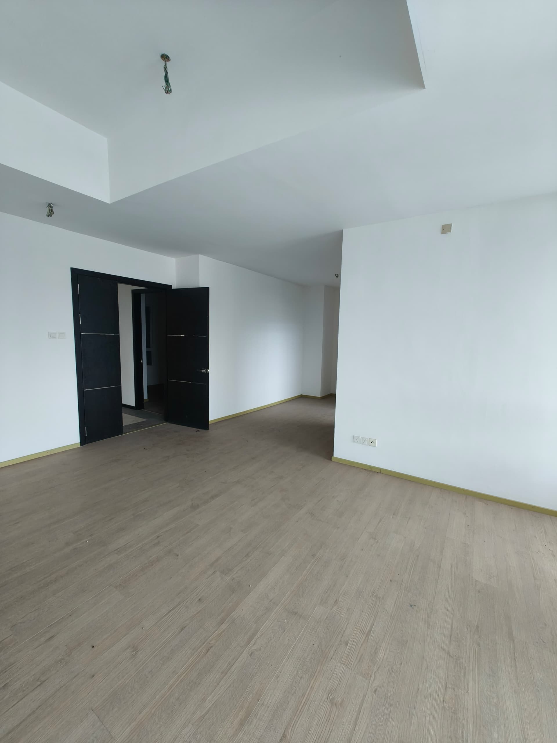 1 SULAMAN 1 BORNEO image