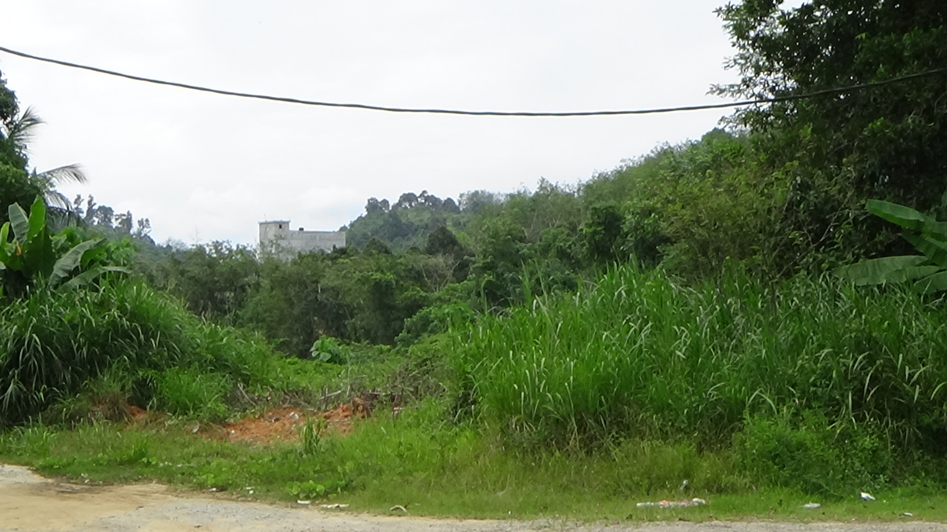 Pertang Agricultural Land image