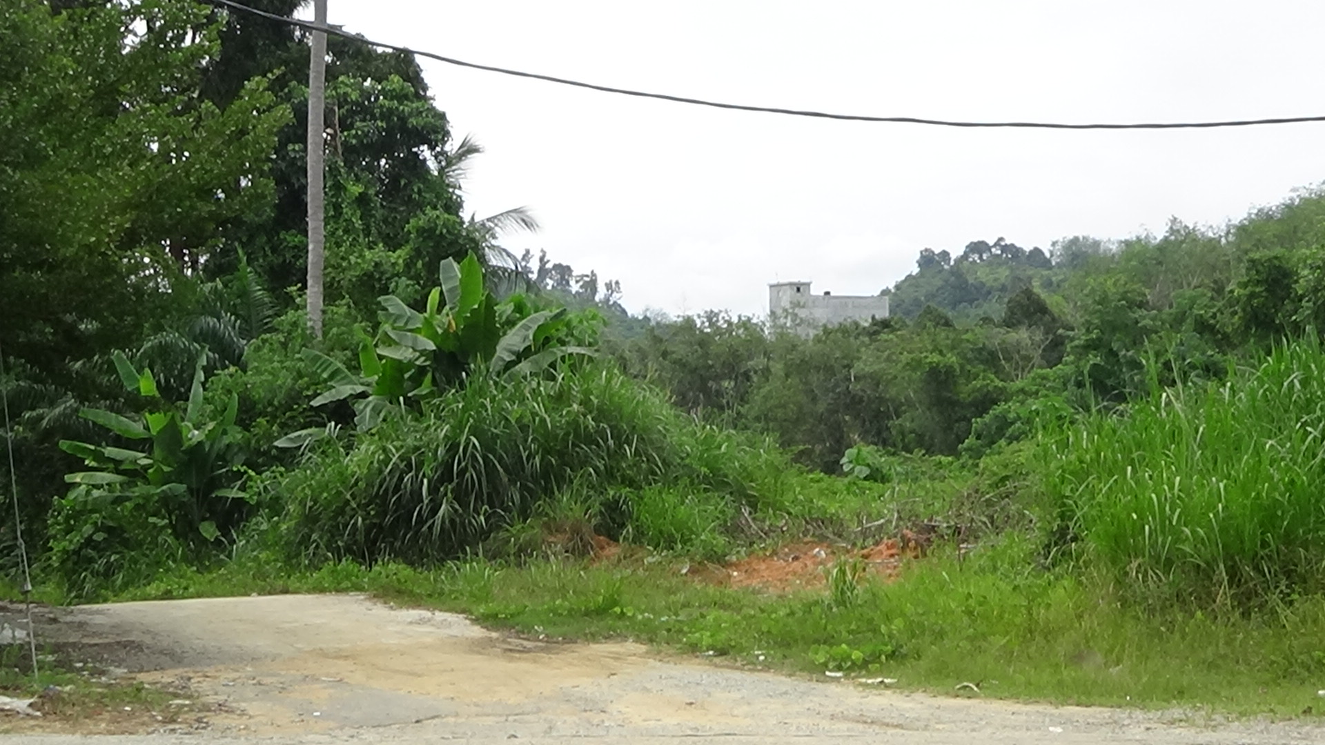 Pertang Agricultural Land image